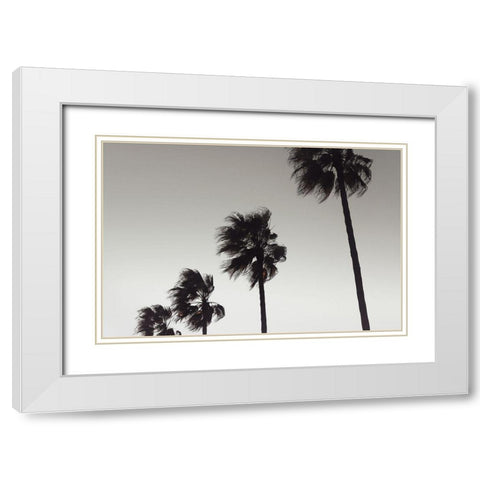 Palm_004 White Modern Wood Framed Art Print with Double Matting by 1x Studio III
