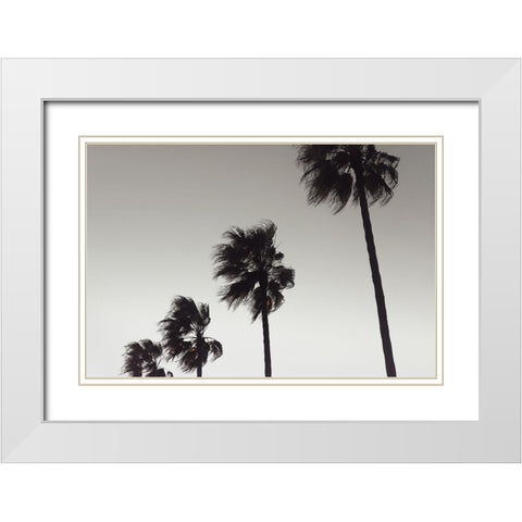 Palm_004 White Modern Wood Framed Art Print with Double Matting by 1x Studio III