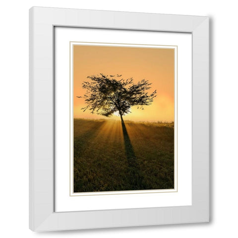 Dream of becoming big. White Modern Wood Framed Art Print with Double Matting by Londal, Leif
