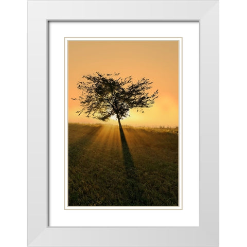Dream of becoming big. White Modern Wood Framed Art Print with Double Matting by Londal, Leif