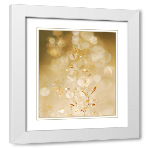 A bit closer 2/02 White Modern Wood Framed Art Print with Double Matting by Limberg, Huib