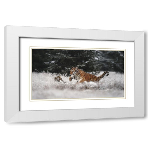 Joy On The Snow White Modern Wood Framed Art Print with Double Matting by Firesova, Michaela