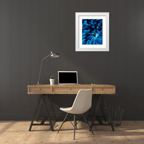 Blue chrysanthemum White Modern Wood Framed Art Print with Double Matting by Morozov, Konstantin