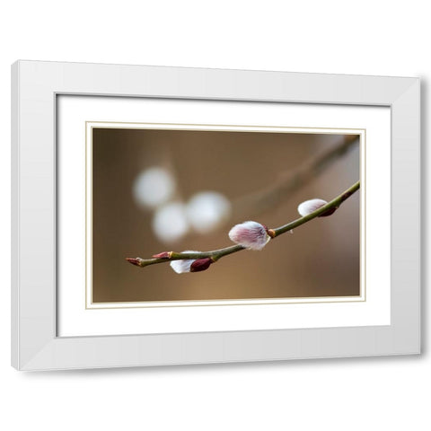 Spring White Modern Wood Framed Art Print with Double Matting by Chudas, Roman
