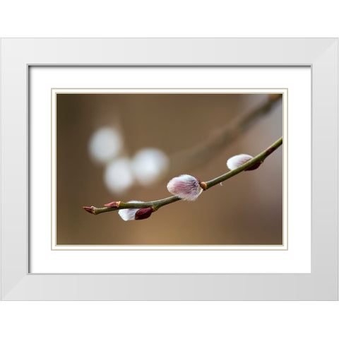 Spring White Modern Wood Framed Art Print with Double Matting by Chudas, Roman