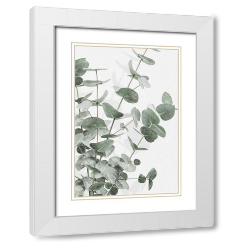Eucalyptus_003 White Modern Wood Framed Art Print with Double Matting by 1x Studio III