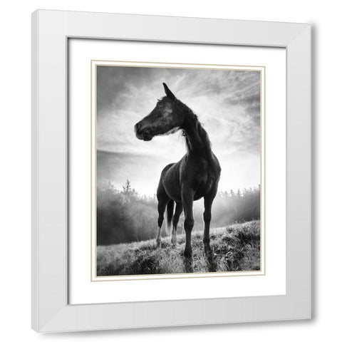 Backlight Horse White Modern Wood Framed Art Print with Double Matting by Accordini, Alessandro