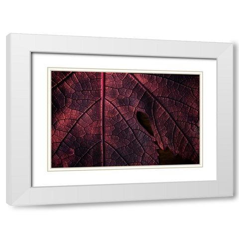 God geographic White Modern Wood Framed Art Print with Double Matting by Swid, Saleh