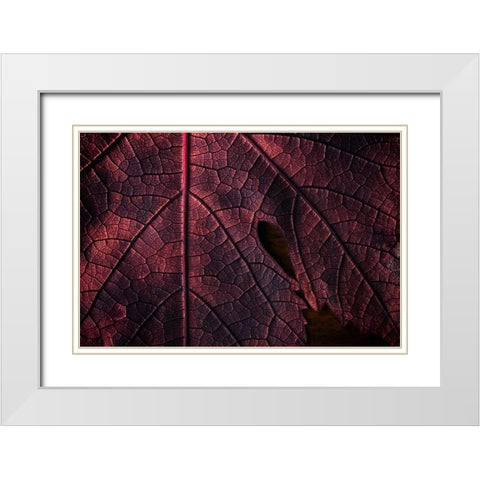 God geographic White Modern Wood Framed Art Print with Double Matting by Swid, Saleh