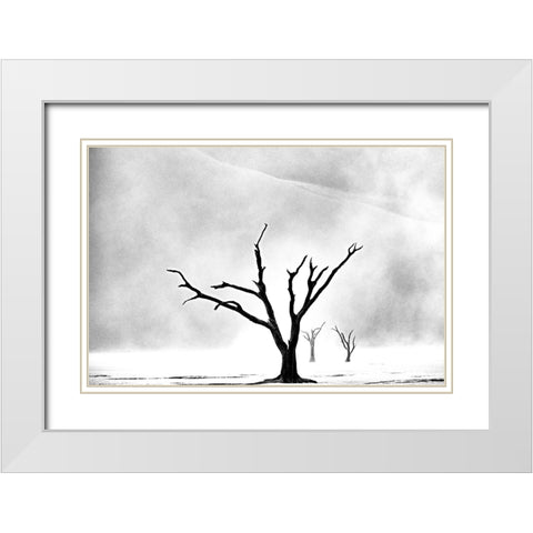 Namibia: The Spirit of Wilderness White Modern Wood Framed Art Print with Double Matting by Buliga, Gina