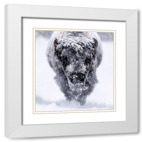 Headed. Your Way. White Modern Wood Framed Art Print with Double Matting by Gill, Barbara