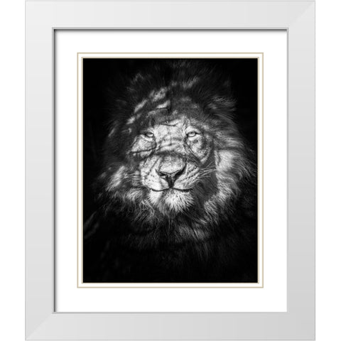 Being Watched White Modern Wood Framed Art Print with Double Matting by Taylor, Mike