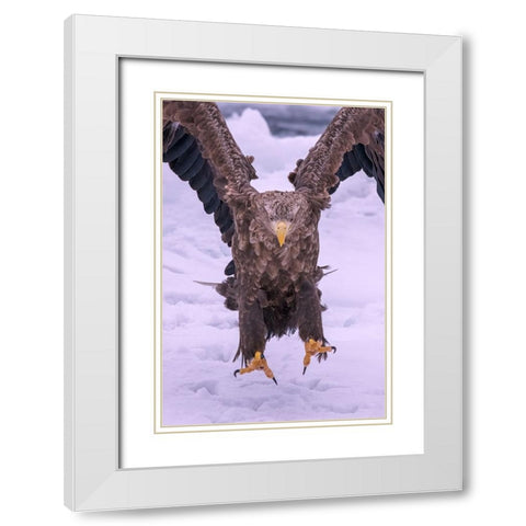 Vici White Modern Wood Framed Art Print with Double Matting by Liu, Q