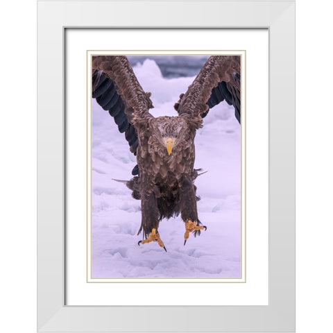 Vici White Modern Wood Framed Art Print with Double Matting by Liu, Q