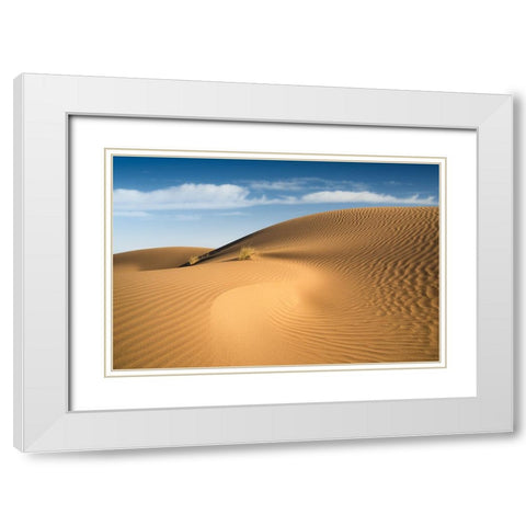 Curves White Modern Wood Framed Art Print with Double Matting by Babaei, Hosein