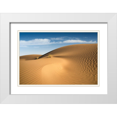 Curves White Modern Wood Framed Art Print with Double Matting by Babaei, Hosein