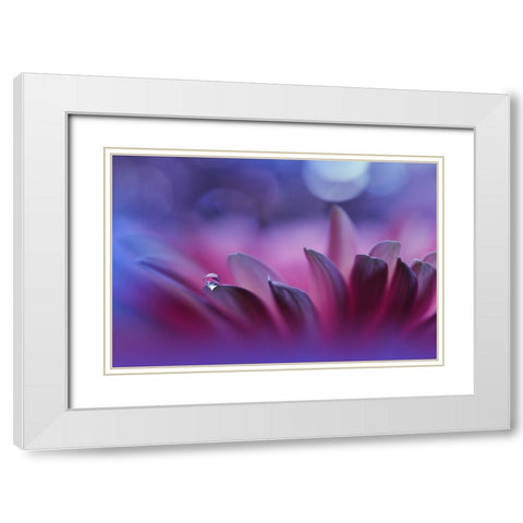 Blossoming Heart...II White Modern Wood Framed Art Print with Double Matting by Nan, Juliana