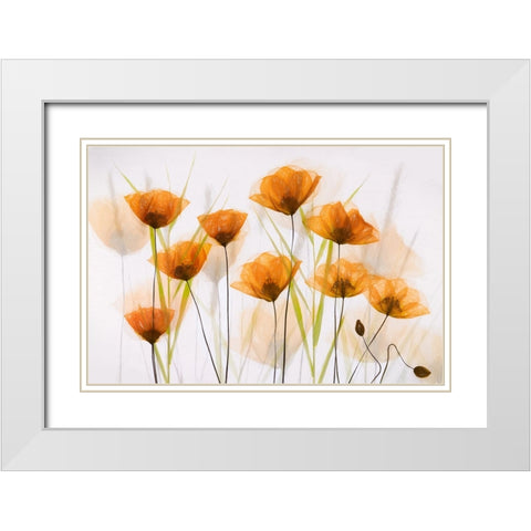 Poppy Art White Modern Wood Framed Art Print with Double Matting by van krimpen, brigitte