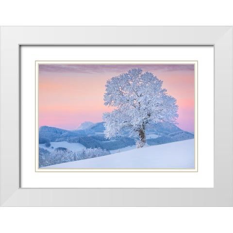 exposed White Modern Wood Framed Art Print with Double Matting by Jochen, Burger