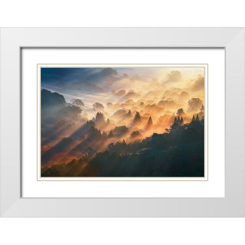 Morning Light White Modern Wood Framed Art Print with Double Matting by Li, Ryan