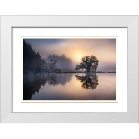 The old willow in the morning light White Modern Wood Framed Art Print with Double Matting by Eisenmann, Ulrike