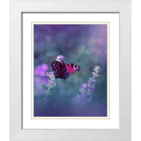 Queen Of Flowers...III White Modern Wood Framed Art Print with Double Matting by Nan, Juliana