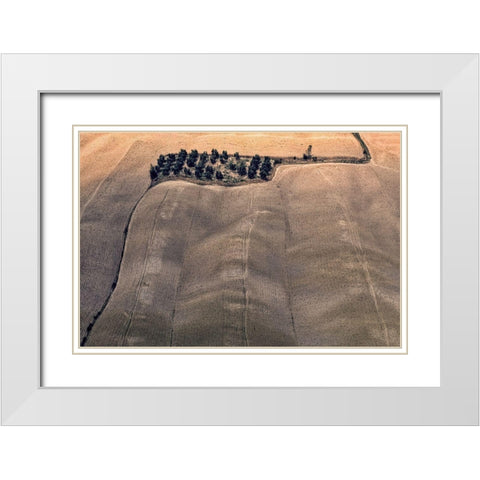 Oasis White Modern Wood Framed Art Print with Double Matting by Kravanja, Jure