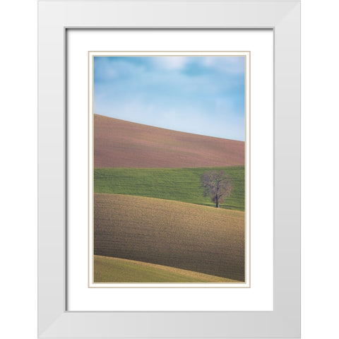 S.T. 025 White Modern Wood Framed Art Print with Double Matting by Gray, Dorian