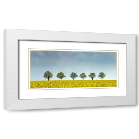 rape White Modern Wood Framed Art Print with Double Matting by Uhlig, Dieter