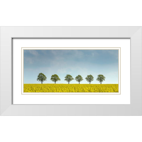 rape White Modern Wood Framed Art Print with Double Matting by Uhlig, Dieter