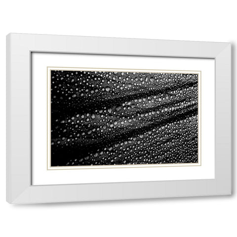 Cultured Rain Pearls White Modern Wood Framed Art Print with Double Matting by Ciappara Lrps., Simon