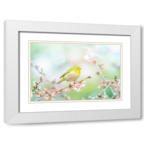 The Arrival of Spring White Modern Wood Framed Art Print with Double Matting by Suzuki, Takashi