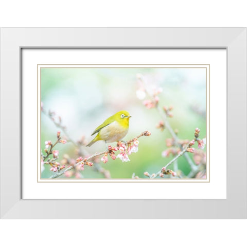 The Arrival of Spring White Modern Wood Framed Art Print with Double Matting by Suzuki, Takashi