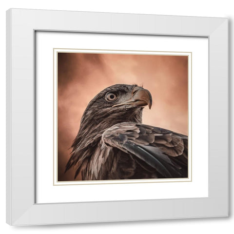 And His Eyes Saw Everything.... White Modern Wood Framed Art Print with Double Matting by Worseling, Natascha