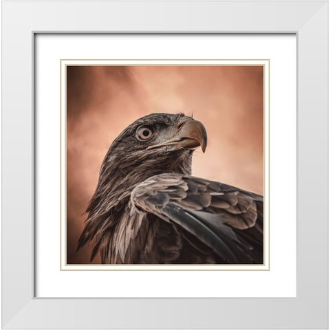 And His Eyes Saw Everything.... White Modern Wood Framed Art Print with Double Matting by Worseling, Natascha