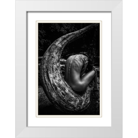 Wild White Modern Wood Framed Art Print with Double Matting by Mannini, Roberto