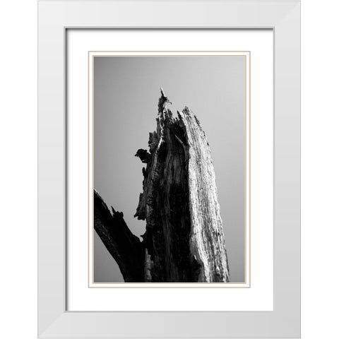 Wetlands 1 White Modern Wood Framed Art Print with Double Matting by Perry, Lewis