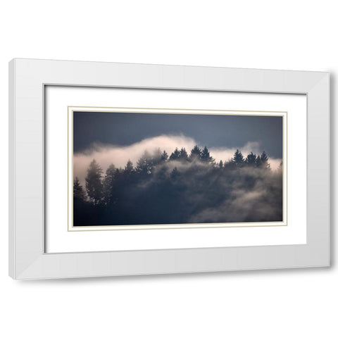Black Forest I White Modern Wood Framed Art Print with Double Matting by Schade, Peter