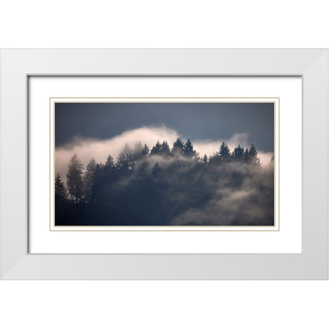 Black Forest I White Modern Wood Framed Art Print with Double Matting by Schade, Peter