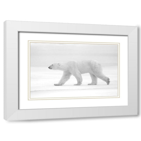 Just  White White Modern Wood Framed Art Print with Double Matting by Pozzi, Marco
