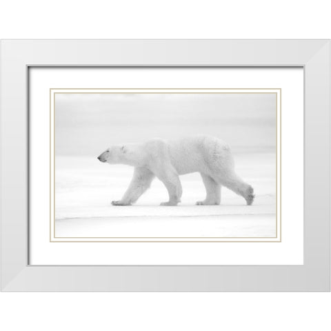 Just  White White Modern Wood Framed Art Print with Double Matting by Pozzi, Marco