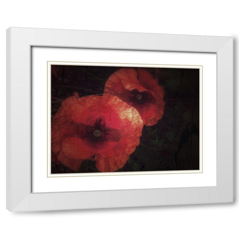 Blood thirsty Poppies White Modern Wood Framed Art Print with Double Matting by Margau, Delphine