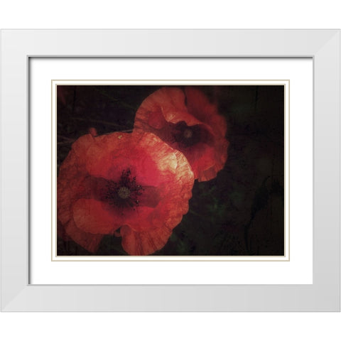 Blood thirsty Poppies White Modern Wood Framed Art Print with Double Matting by Margau, Delphine