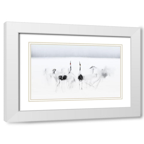 Calligraphic ballet White Modern Wood Framed Art Print with Double Matting by Deng, Larry