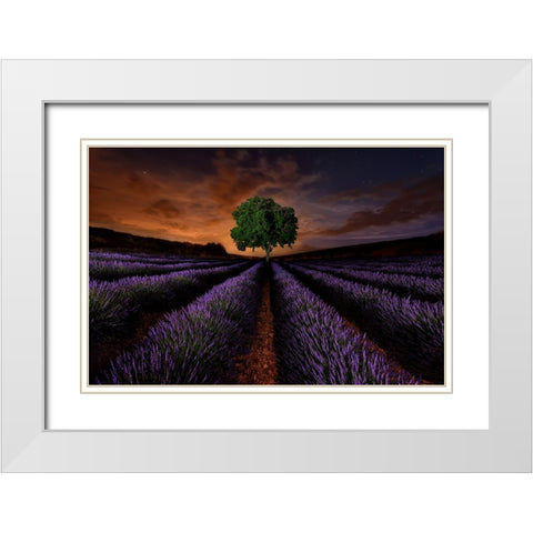 Untitled White Modern Wood Framed Art Print with Double Matting by Vega Toledano, Cesar