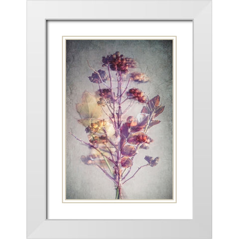 Before Winter White Modern Wood Framed Art Print with Double Matting by Kiral, Cicek