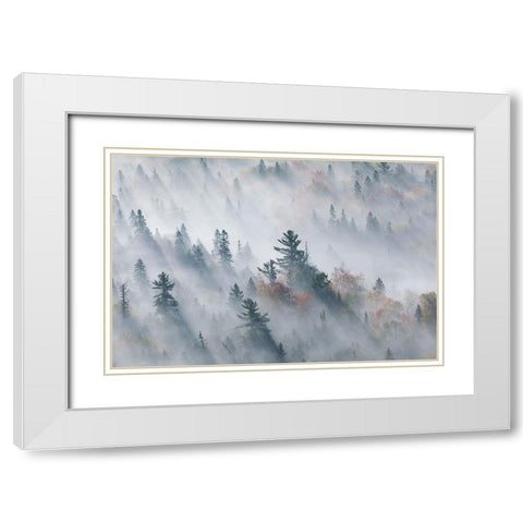 The Fog of Silence, The Fog of Illusion White Modern Wood Framed Art Print with Double Matting by Zhao, Jennifer