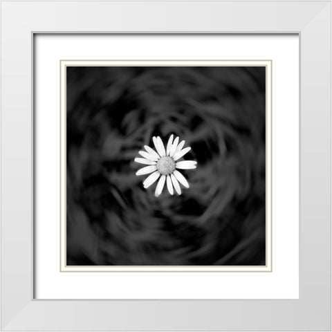 Alpine meadow discovery White Modern Wood Framed Art Print with Double Matting by Winkler, Jens