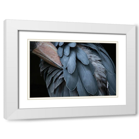 Feather White Modern Wood Framed Art Print with Double Matting by Aoki, Juri