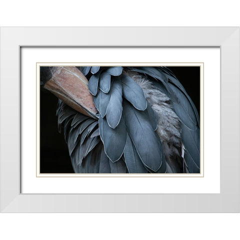 Feather White Modern Wood Framed Art Print with Double Matting by Aoki, Juri